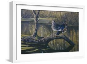 Spring Pair - Wood Ducks-Wilhelm Goebel-Framed Giclee Print