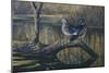 Spring Pair - Wood Ducks-Wilhelm Goebel-Mounted Giclee Print