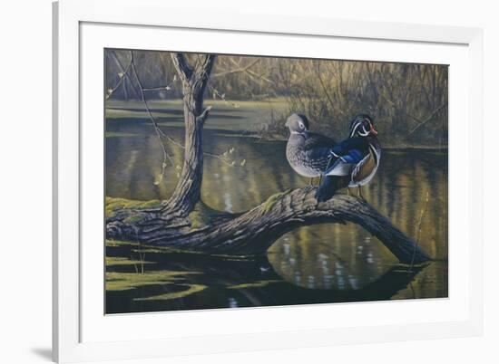 Spring Pair - Wood Ducks-Wilhelm Goebel-Framed Giclee Print