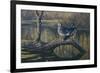 Spring Pair - Wood Ducks-Wilhelm Goebel-Framed Giclee Print