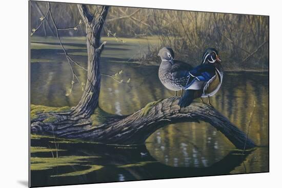 Spring Pair - Wood Ducks-Wilhelm Goebel-Mounted Giclee Print