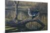 Spring Pair - Wood Ducks-Wilhelm Goebel-Mounted Giclee Print