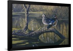 Spring Pair - Wood Ducks-Wilhelm Goebel-Framed Giclee Print