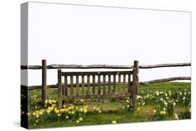 Spring Park Bench with Daffodils Isolated on White to Cut out and Use-Veneratio-Stretched Canvas