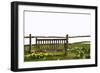 Spring Park Bench with Daffodils Isolated on White to Cut out and Use-Veneratio-Framed Photographic Print