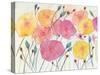 Spring Party II-Beverly Dyer-Stretched Canvas