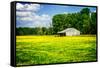 Spring Pasture I-Alan Hausenflock-Framed Stretched Canvas