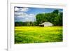 Spring Pasture I-Alan Hausenflock-Framed Photo