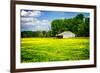 Spring Pasture I-Alan Hausenflock-Framed Photo