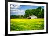 Spring Pasture I-Alan Hausenflock-Framed Photo