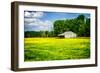 Spring Pasture I-Alan Hausenflock-Framed Photo