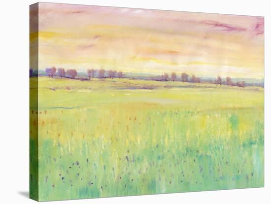 Spring Pasture I-Tim O'toole-Stretched Canvas