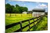 Spring Pasture II-Alan Hausenflock-Mounted Photo