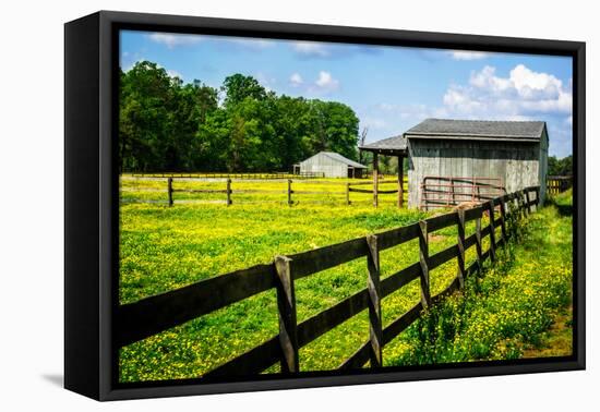 Spring Pasture II-Alan Hausenflock-Framed Stretched Canvas