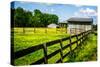 Spring Pasture II-Alan Hausenflock-Stretched Canvas