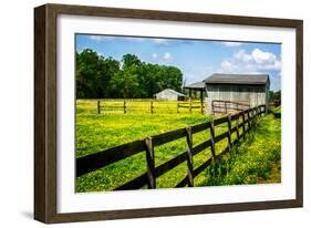 Spring Pasture II-Alan Hausenflock-Framed Photo