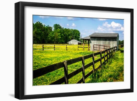 Spring Pasture II-Alan Hausenflock-Framed Photo