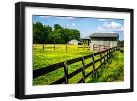 Spring Pasture II-Alan Hausenflock-Framed Photo