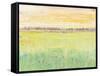 Spring Pasture II-Tim O'toole-Framed Stretched Canvas