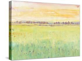 Spring Pasture II-Tim O'toole-Stretched Canvas