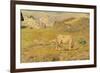 Spring Pasture-Giovanni Segantini-Framed Premium Giclee Print