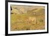 Spring Pasture-Giovanni Segantini-Framed Premium Giclee Print