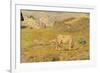 Spring Pasture-Giovanni Segantini-Framed Art Print