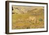 Spring Pasture-Giovanni Segantini-Framed Art Print