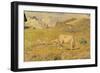 Spring Pasture-Giovanni Segantini-Framed Art Print