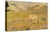 Spring Pasture-Giovanni Segantini-Stretched Canvas