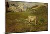 Spring Pastures-Giovanni Segantini-Mounted Giclee Print