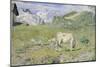 Spring Pastures-Giovanni Segantini-Mounted Giclee Print
