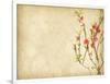 Spring Peach Blossom on Old Antique Vintage Paper Background-kenny001-Framed Art Print