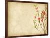 Spring Peach Blossom on Old Antique Vintage Paper Background-kenny001-Framed Art Print