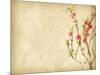 Spring Peach Blossom on Old Antique Vintage Paper Background-kenny001-Mounted Art Print