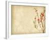 Spring Peach Blossom on Old Antique Vintage Paper Background-kenny001-Framed Art Print