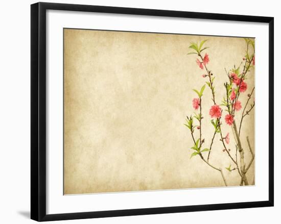 Spring Peach Blossom on Old Antique Vintage Paper Background-kenny001-Framed Art Print