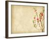 Spring Peach Blossom on Old Antique Vintage Paper Background-kenny001-Framed Art Print