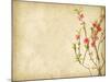 Spring Peach Blossom on Old Antique Vintage Paper Background-kenny001-Mounted Art Print