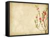 Spring Peach Blossom on Old Antique Vintage Paper Background-kenny001-Framed Stretched Canvas