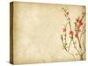 Spring Peach Blossom on Old Antique Vintage Paper Background-kenny001-Stretched Canvas