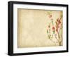 Spring Peach Blossom on Old Antique Vintage Paper Background-kenny001-Framed Art Print