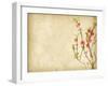 Spring Peach Blossom on Old Antique Vintage Paper Background-kenny001-Framed Art Print