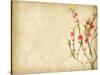 Spring Peach Blossom on Old Antique Vintage Paper Background-kenny001-Stretched Canvas