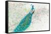 Spring Peacock I Pink Flowers-James Wiens-Framed Stretched Canvas