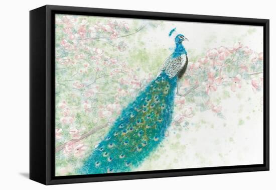 Spring Peacock I Pink Flowers-James Wiens-Framed Stretched Canvas
