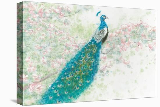 Spring Peacock I Pink Flowers-James Wiens-Stretched Canvas
