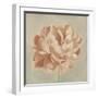 Spring Peony II-Emma Scarvey-Framed Art Print