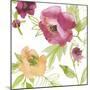 Spring Peony-Sandra Jacobs-Mounted Giclee Print