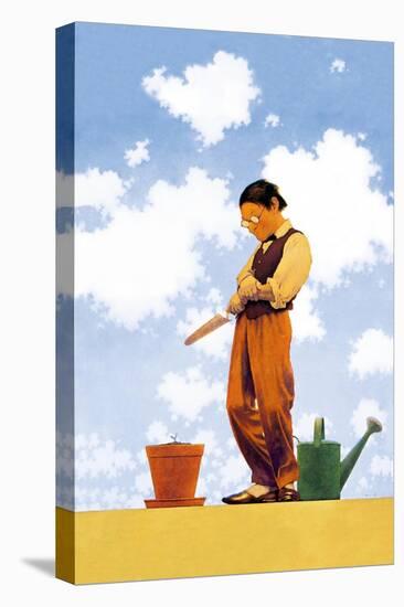Spring Planting-Maxfield Parrish-Stretched Canvas